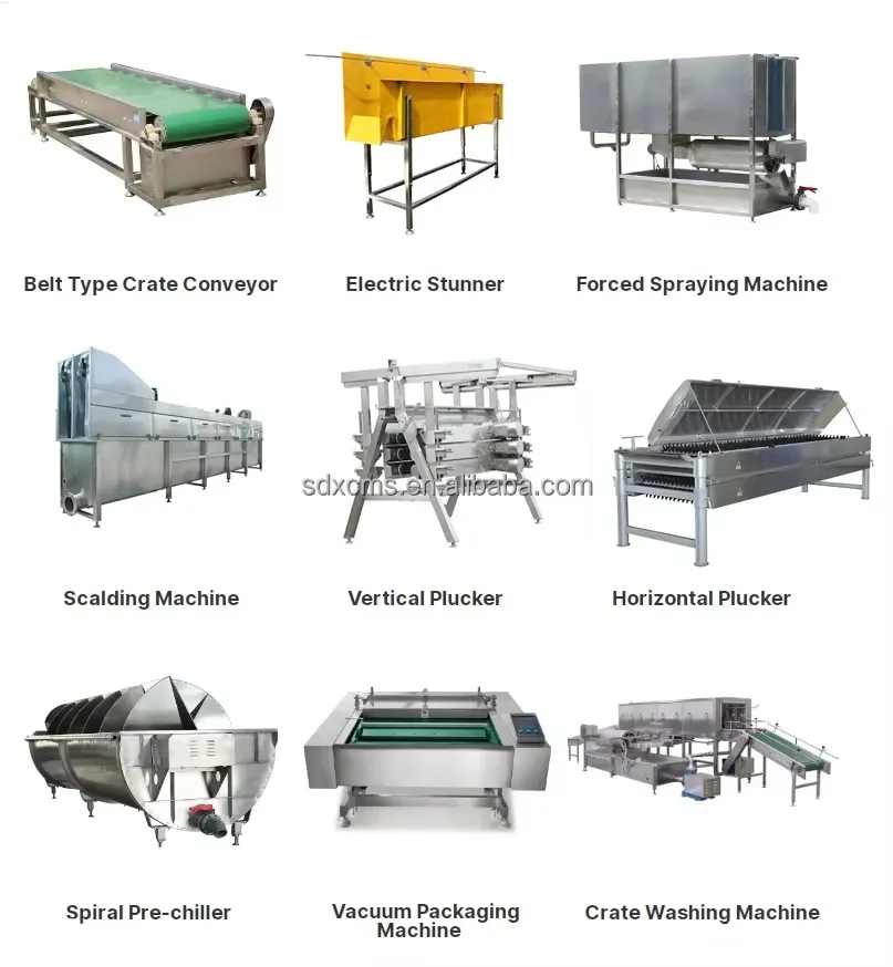 Poultry Processing Details
