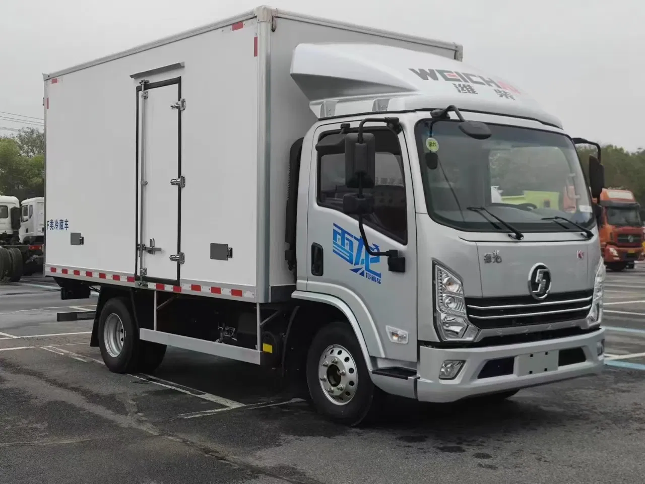 Cooling Truck Meat Refrigerator Van Small Freezer Truck for Transport