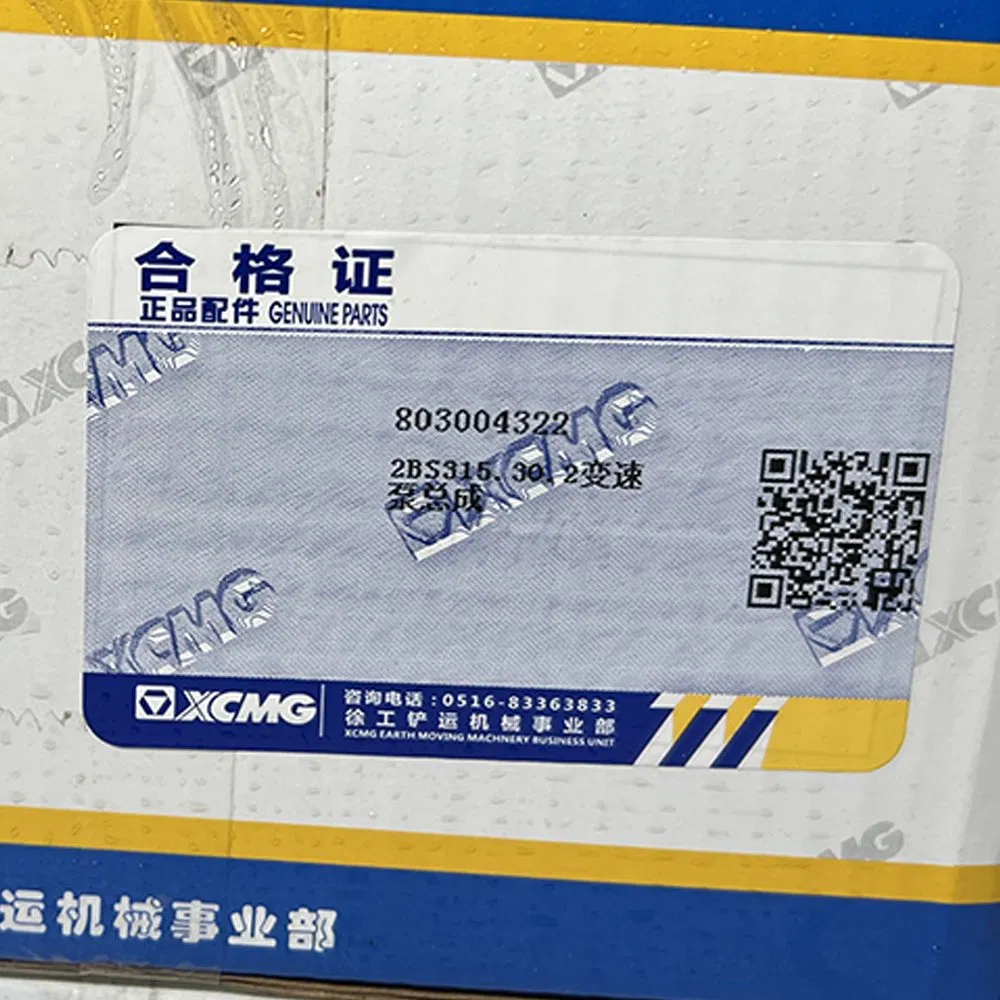 2BS315.30.2 803004322 860302480 Japan China Chinese Variable Speed Pump Assembly