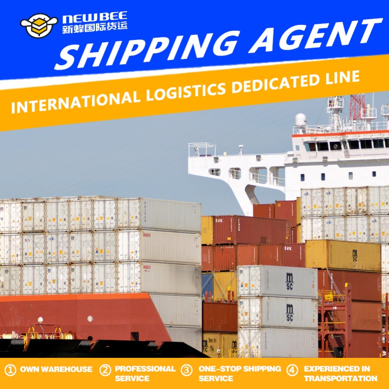 International Sea Freight Shipping to USA Company with Best Freight Forwarder Service