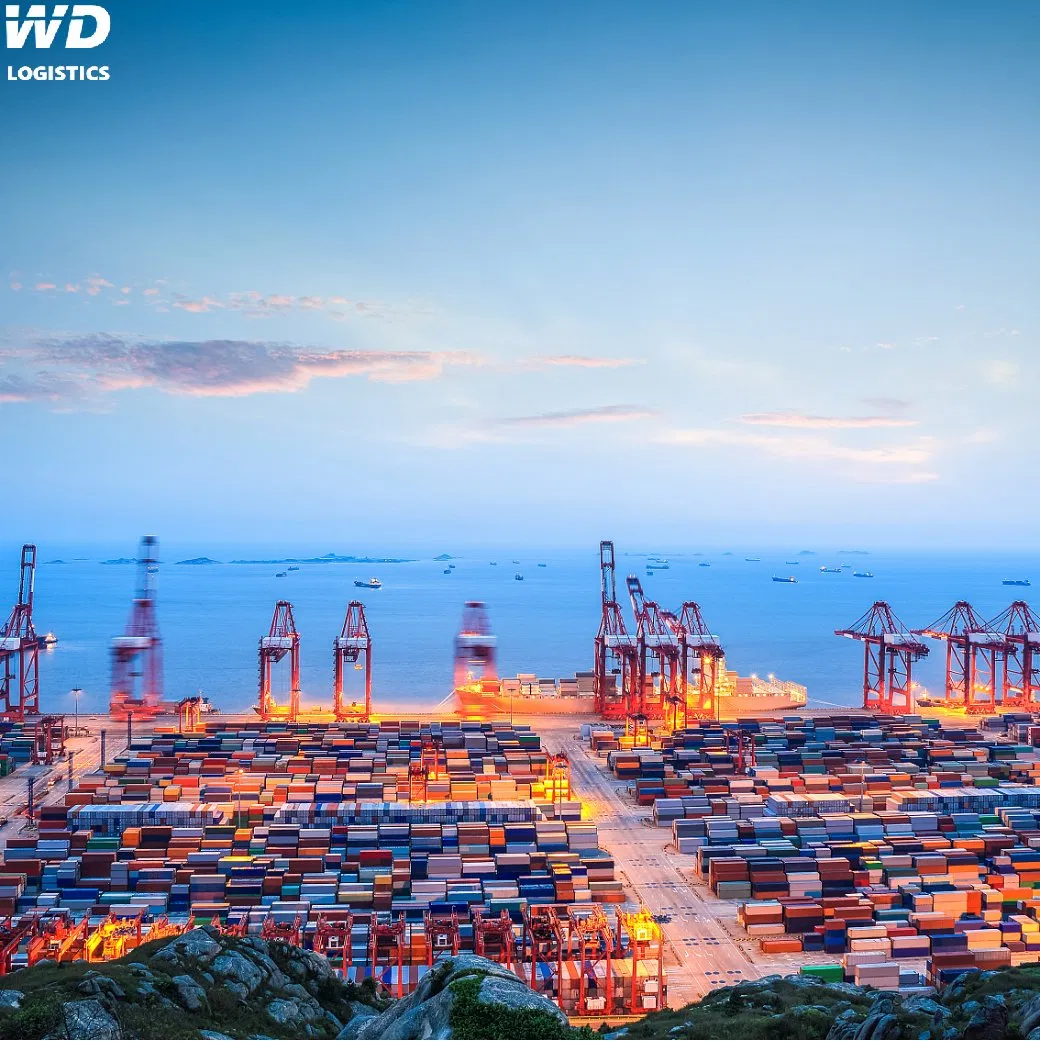 Professional and International Freight Forwarder Shipping to Hodeidah Mukalla Aden Yeman Dammam Riyadh Saudi Arabia From China Guangzhou Shenzhen Shanghai