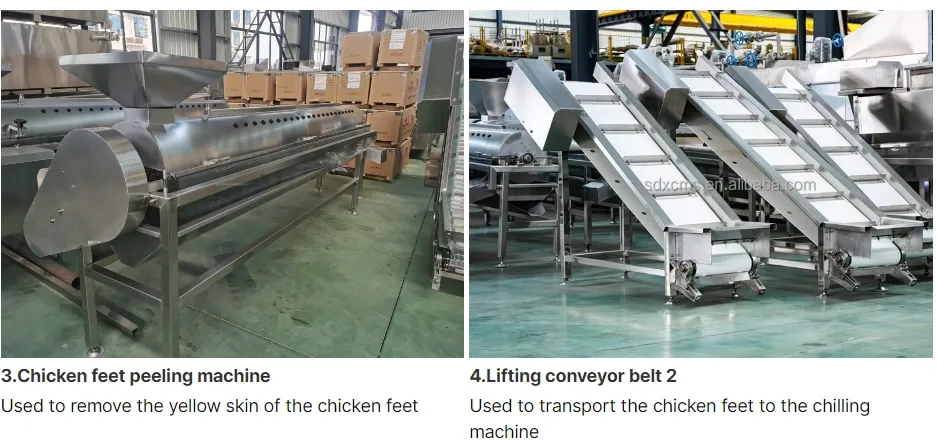 Processing Equipment 2