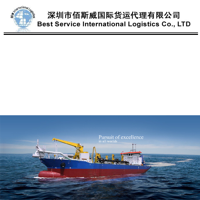 Sea Freight/Freight Forwarder/Logistic Service/Shipping Agent China to Egypt, Sokhna, Alexandria, Port Said, Damietta DDU/DAP/DDP