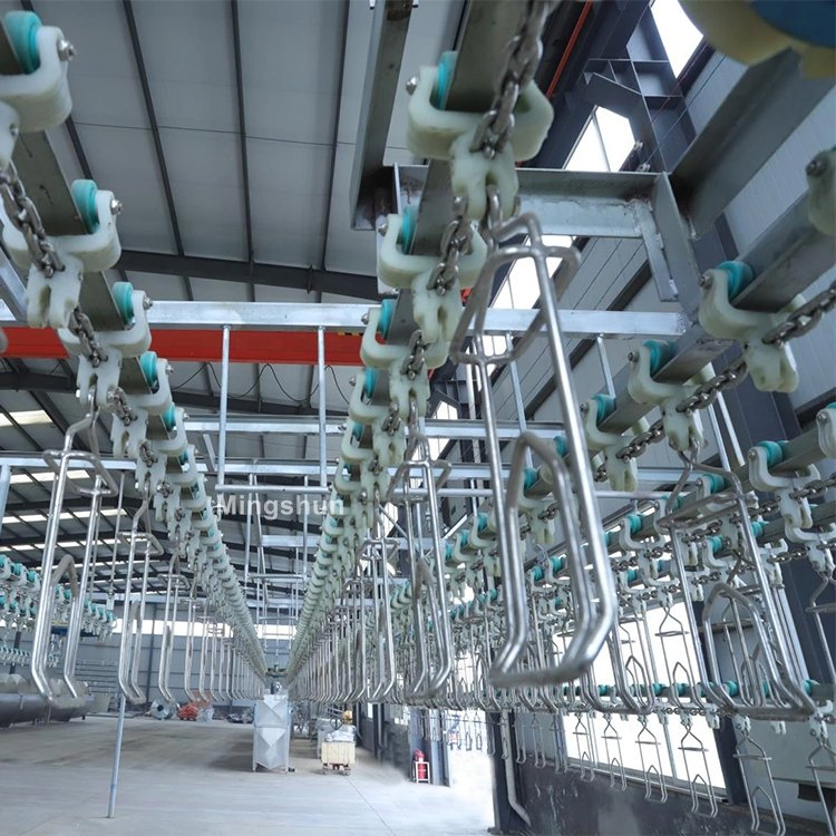 Advanced Poultry Processing Line for Efficient Chicken Slaughter