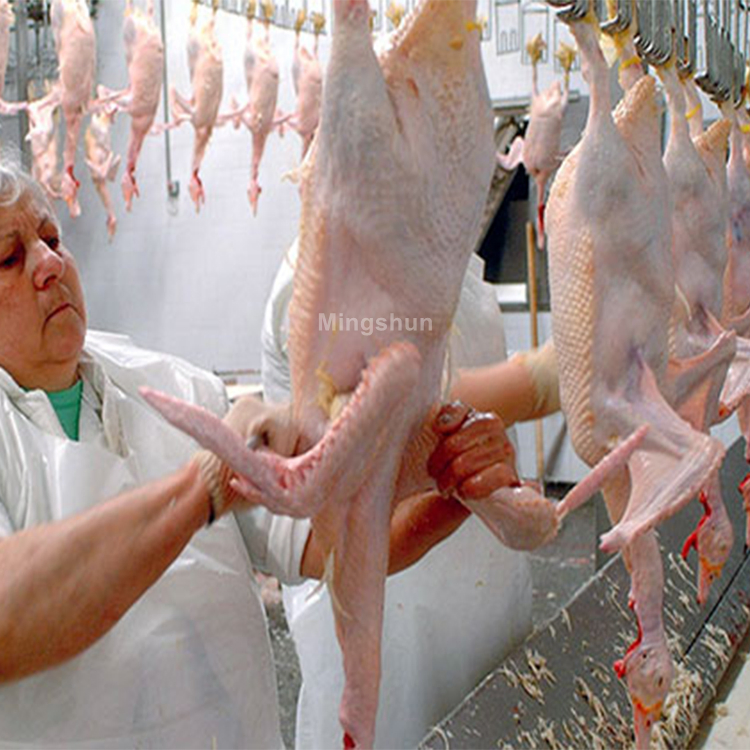 New Design 304 Stainless Steel Duck Goose Poultry Slaughter Equipment Chicken Turkey Killing Processing Line