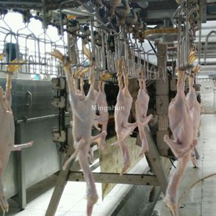 Stainless Steel 304 Chicken Processing Line - High Efficiency Labor Saving