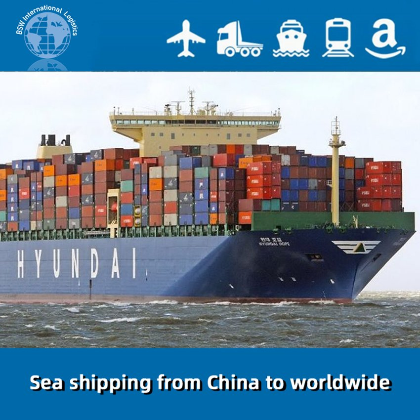Safe and Cheapest Ocean Shipping International Forwarder Freight to Sea Fright From China to Dominican Republic, Saint Kitts and Nevis