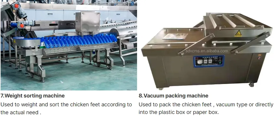 Processing Equipment 4