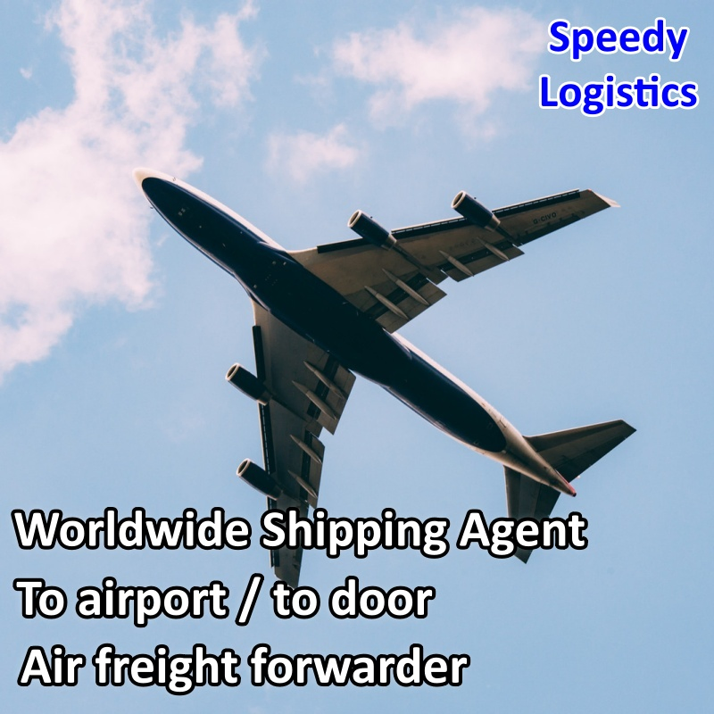 Sea Cargo Shipping Agent Freight Forwarder Shipping to UK, USA, Spain, Dubai, Qatar, Benin, Botswana International Shipping Company Logistics Service