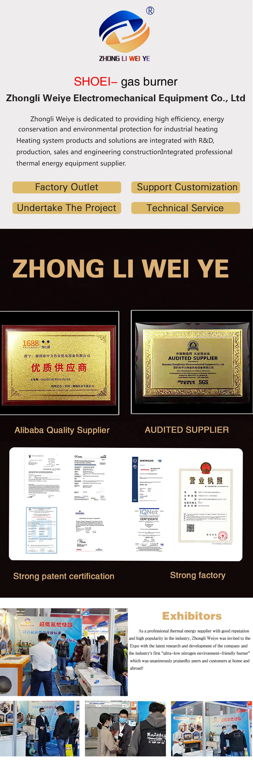 Gas Burner Display 9