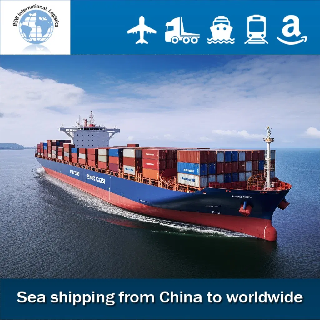 Ocean Freight Forwarder Sea Logistics Shipping From China to Morocco DDU/DAP