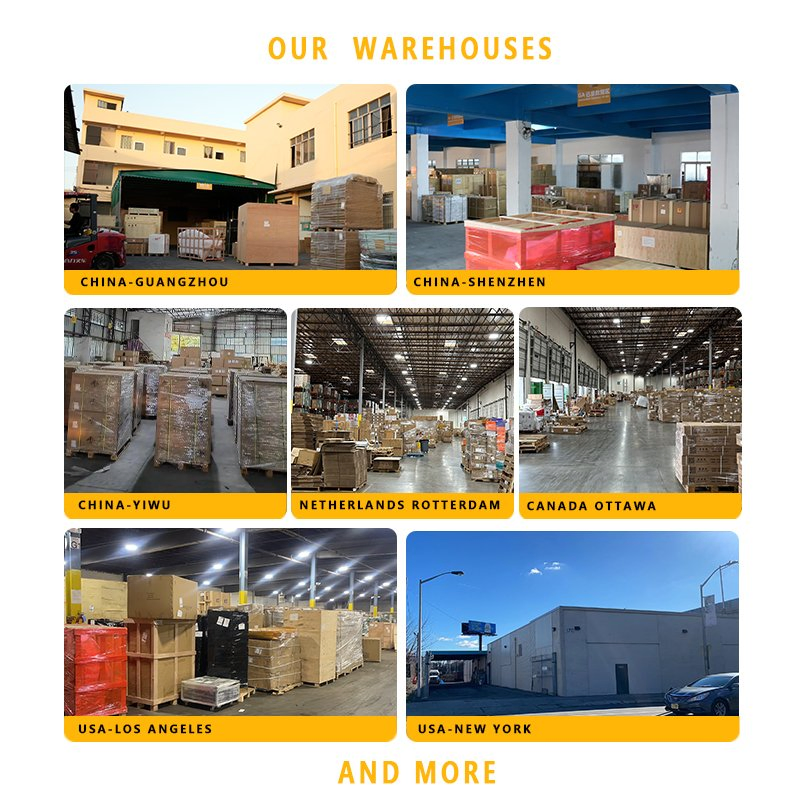 International Sea Freight Shipping to USA Company with Best Freight Forwarder Service