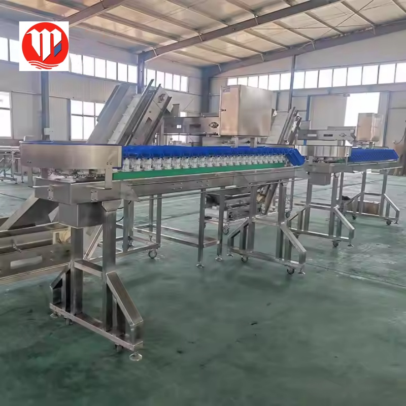 Mingshun Chicken Feet Processing Line with SS304 Specification China Made