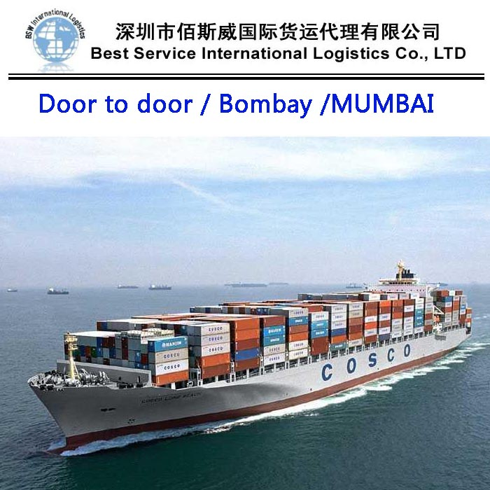 Safe and Cheapest Ocean Shipping International Forwarder Freight to Sea Fright From China to Dominican Republic, Saint Kitts and Nevis
