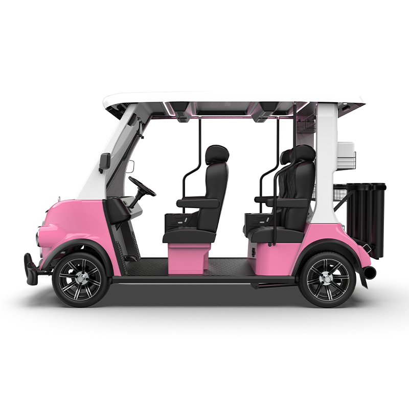 Agv Lsv Street Legal Golf Cart with DOT CT