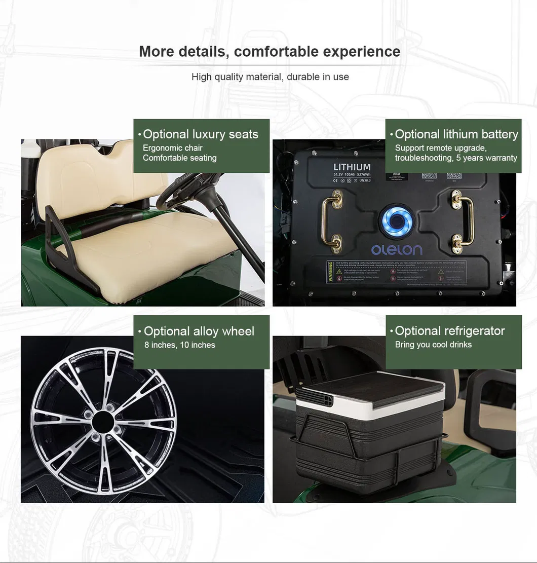 Fleet Golf Carts Detail 5