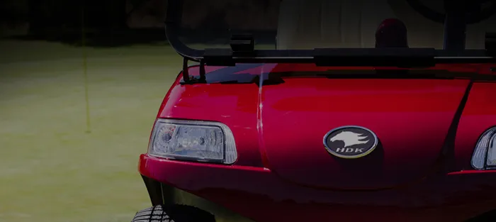 Golf Cart Detail 1