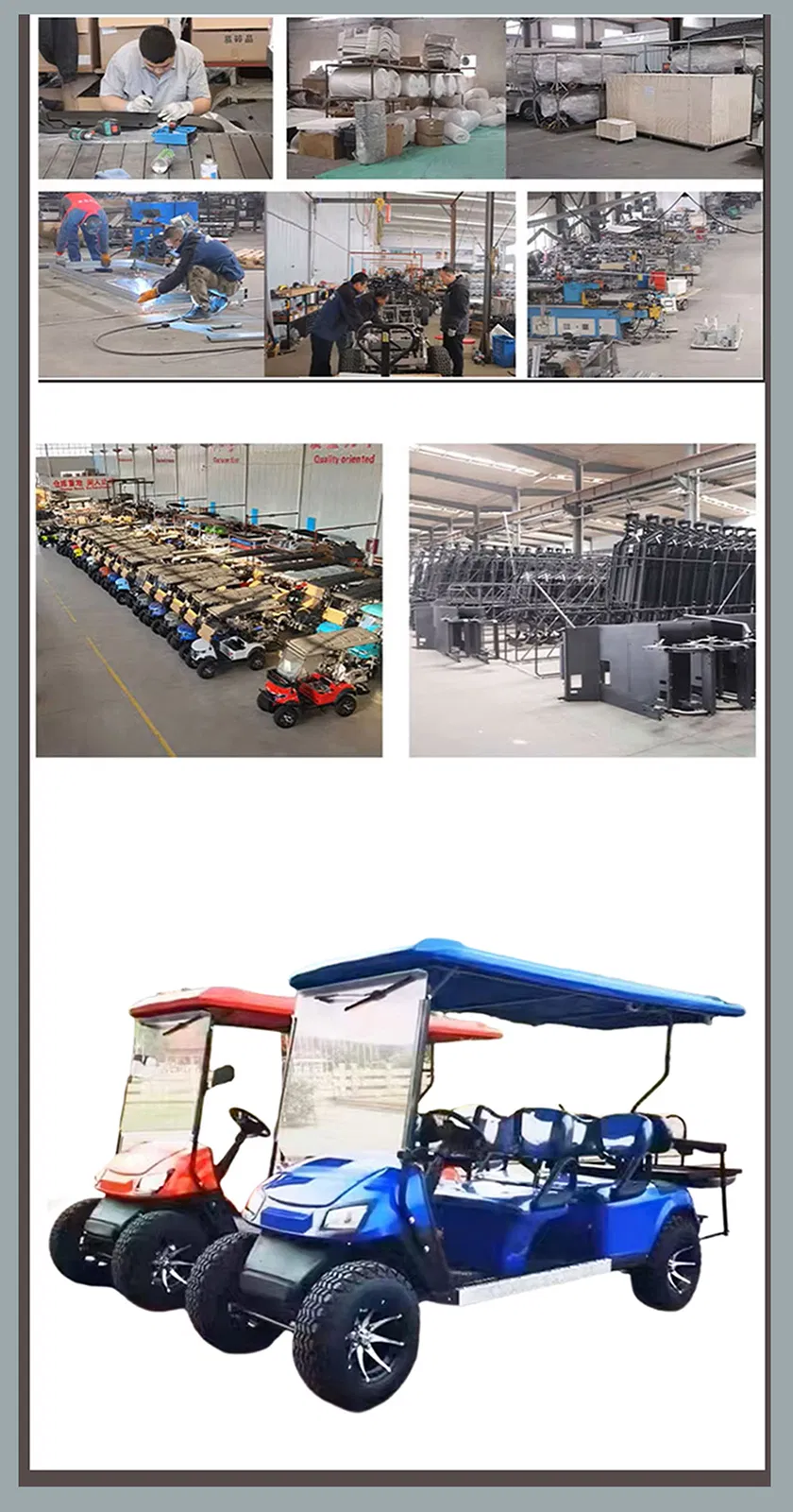 Electric Golf Cart View