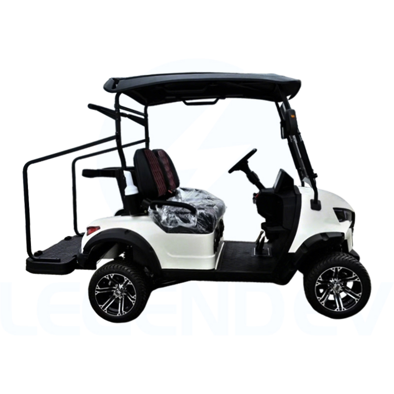 China Luxury 2 Seater Electric Utility Vehicle Custom Design Golf Cart