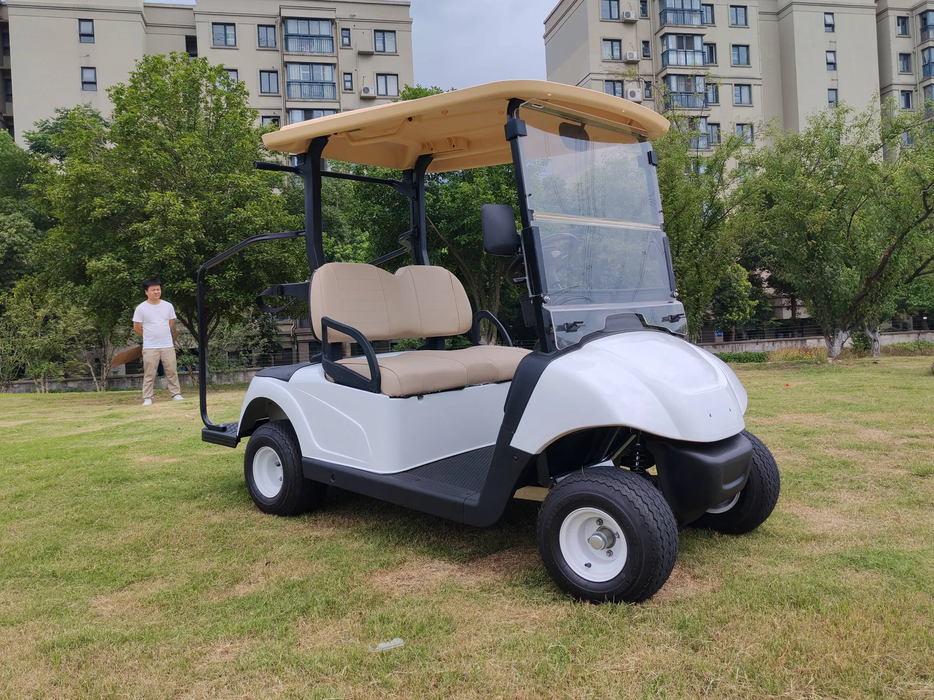 Golf Cart Front View