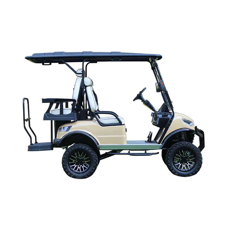 2 4 Seater Electric Golf Carts Cheap Prices Buggy Car for Sale Chinese Club Prezzi Four Enclosed Power Golf Cart
