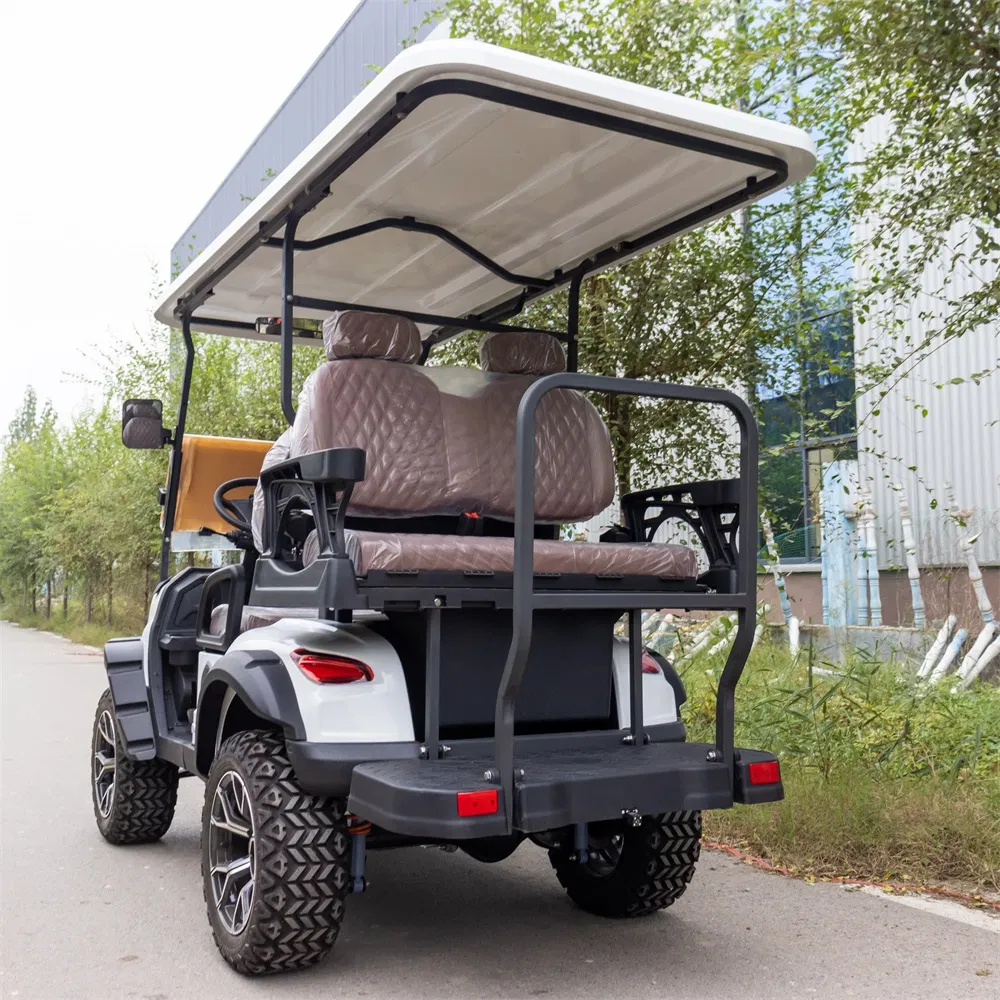 Electric Golf Cart View 5