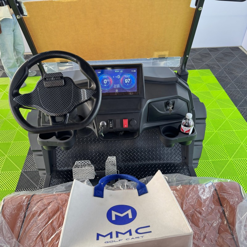 Electric Golf Cart for Sightseeing with Multi-Media System, 3-Point Safety Belts