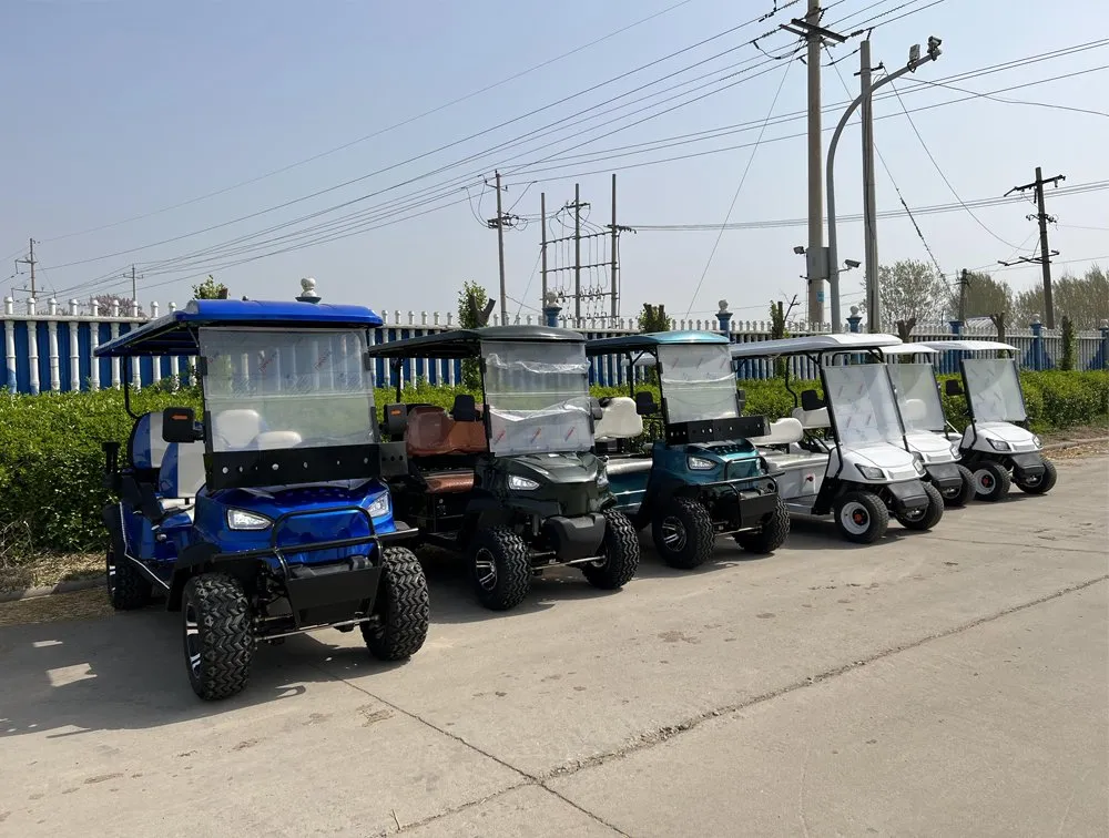 Electric Golf Cart View 4