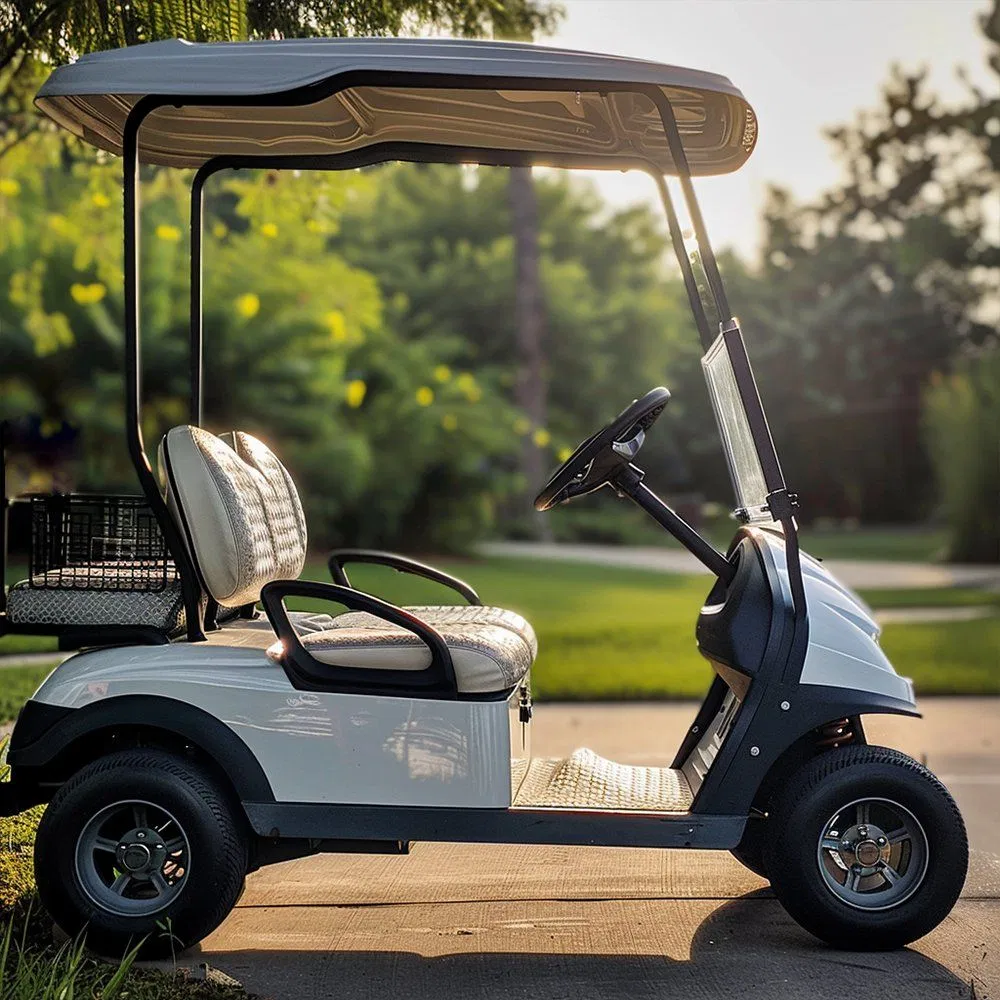 Enclosed Golf Cart Cheap Electric Golf Carts Golf Cart 2 Seat