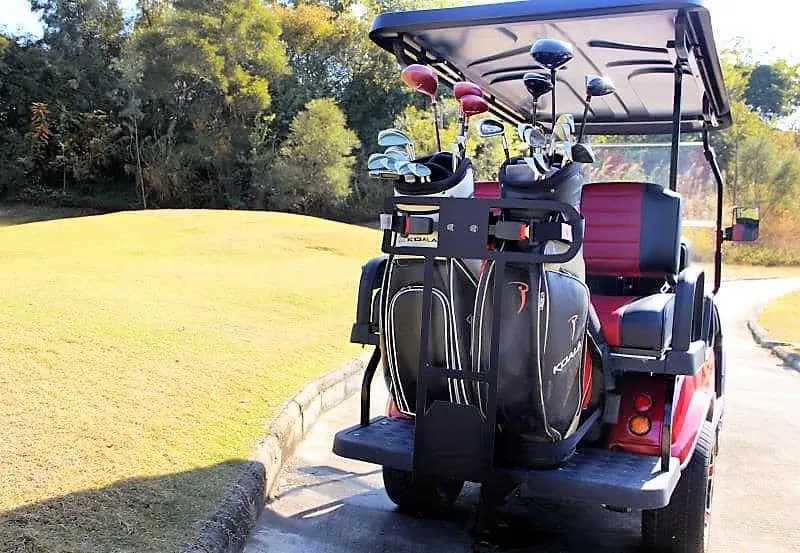 Golf Cart Detail 3