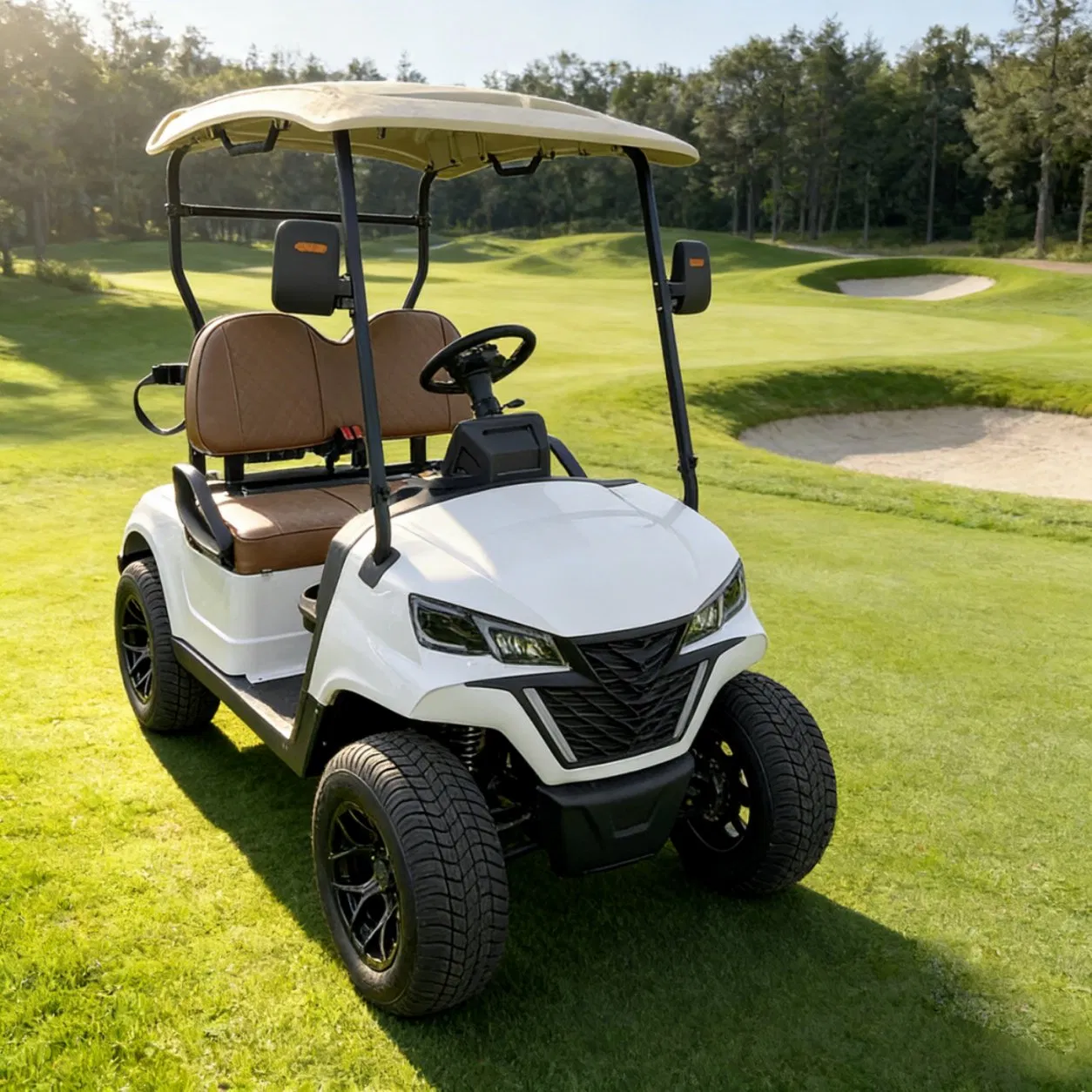 China Supplier Street Legal 48V/60V/72V Lead Acid/Lithium Battery 2, 4, 6, 8 Seater/Seats/Passenger Electric Sightseeing Golf Trolley Utility Buggy Car Cart