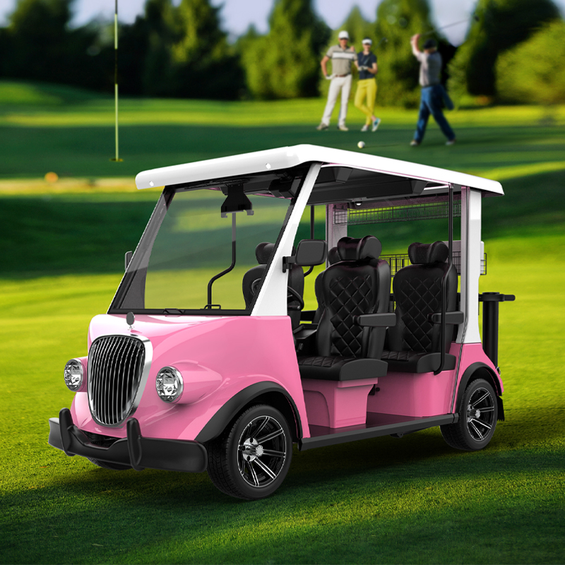 Agv Lsv Street Legal Golf Cart with DOT CT