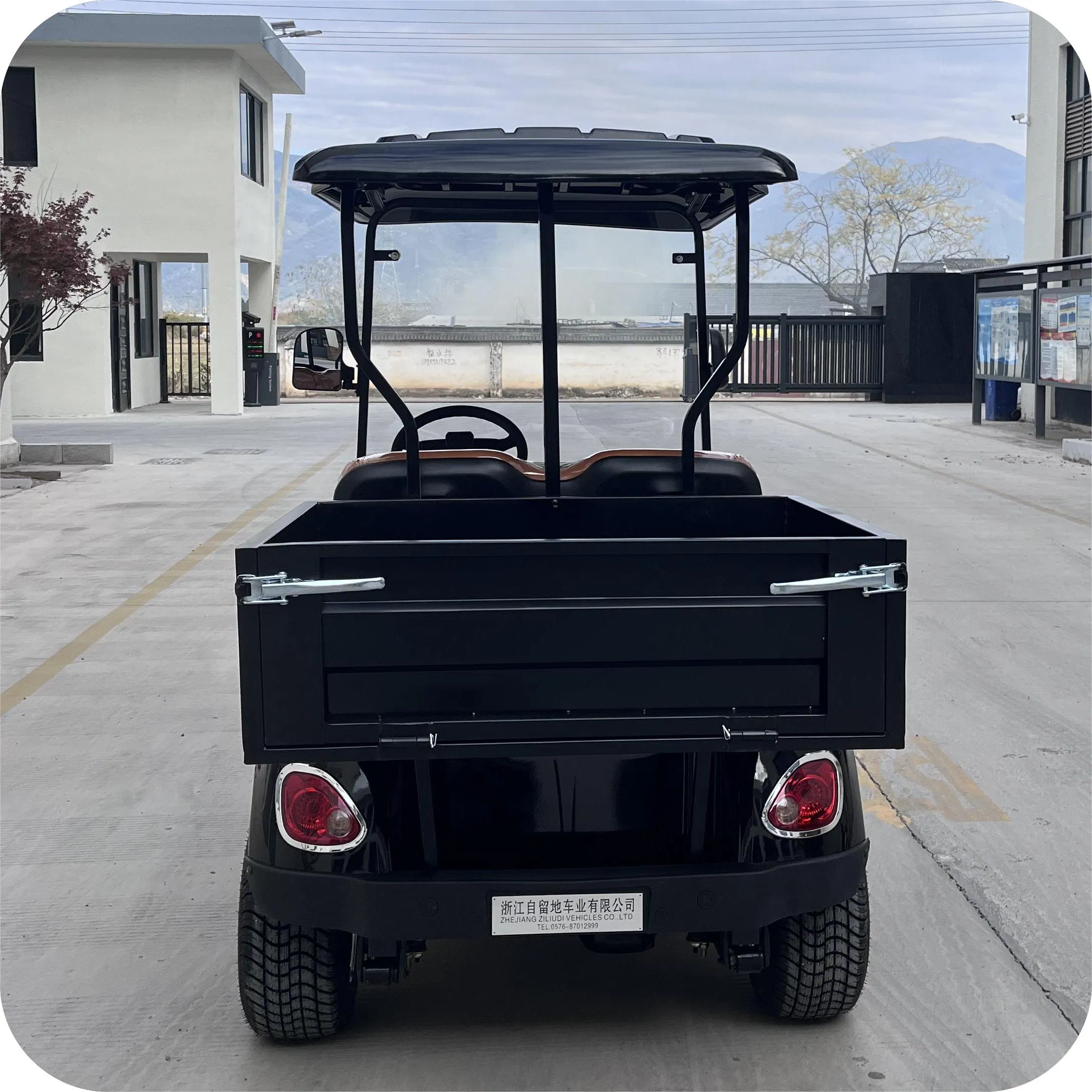 Mini Electric Golf Carts 2 Seater Cheap Farm Lead-Acid Utility Vehicles Golf Cart with Cargo Bed