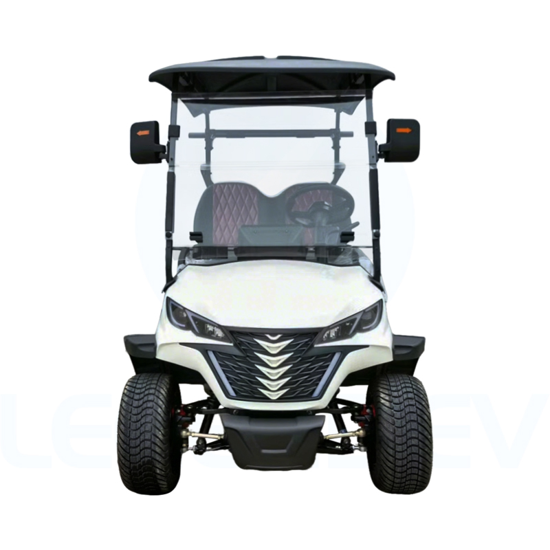 China Luxury 2 Seater Electric Utility Vehicle Custom Design Golf Cart
