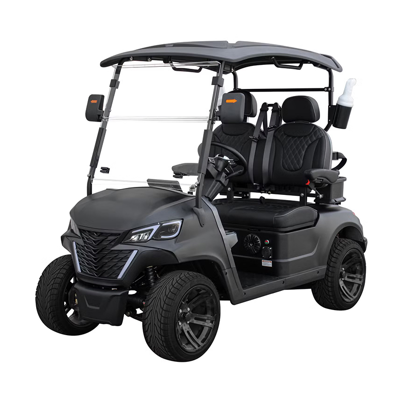 Customize High-Speed 25 Km/H Electric Golf Cart for Cart Distribution