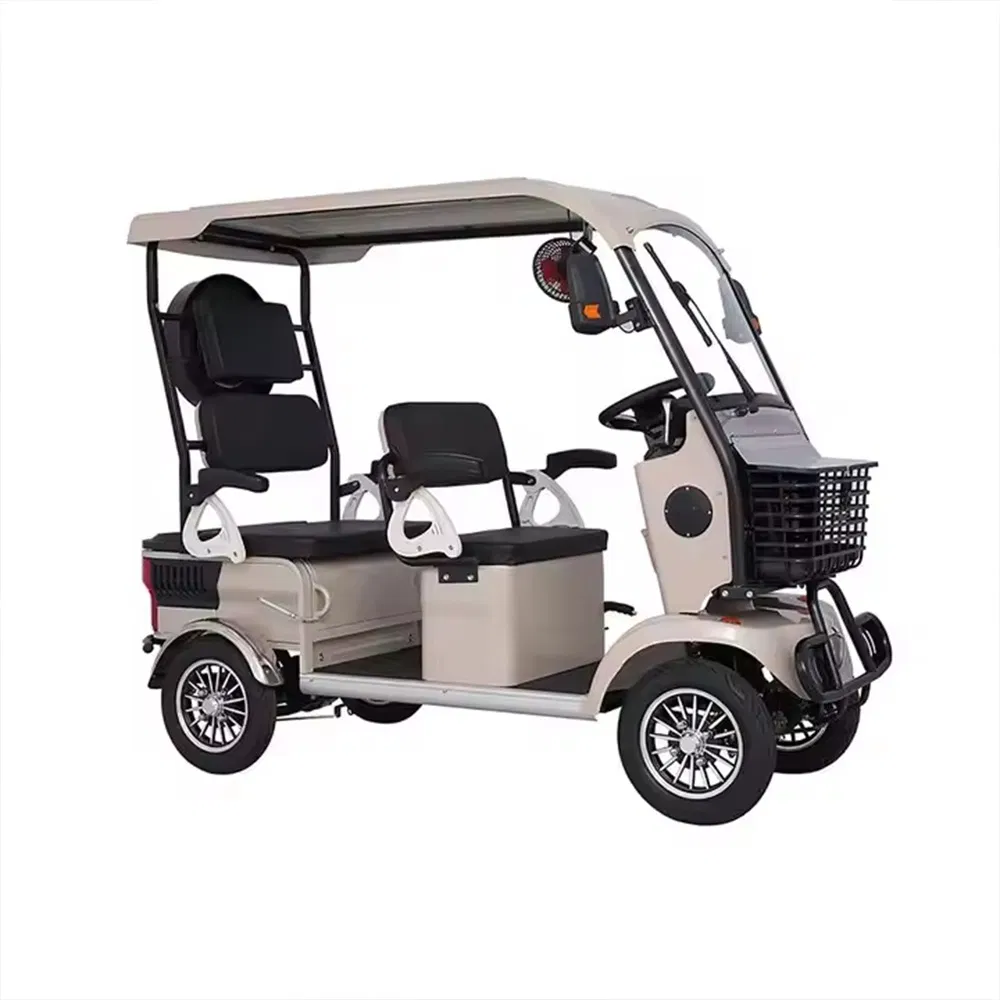 Hld 800W Electric Rickshaw Mobility Vehicle for Senior with Canopy