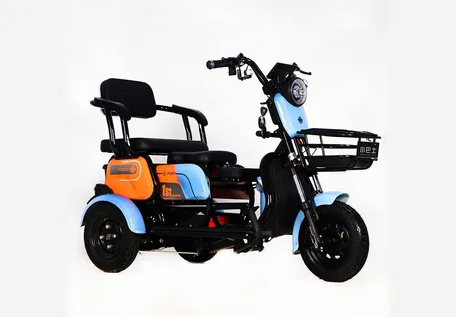 Customizable Options