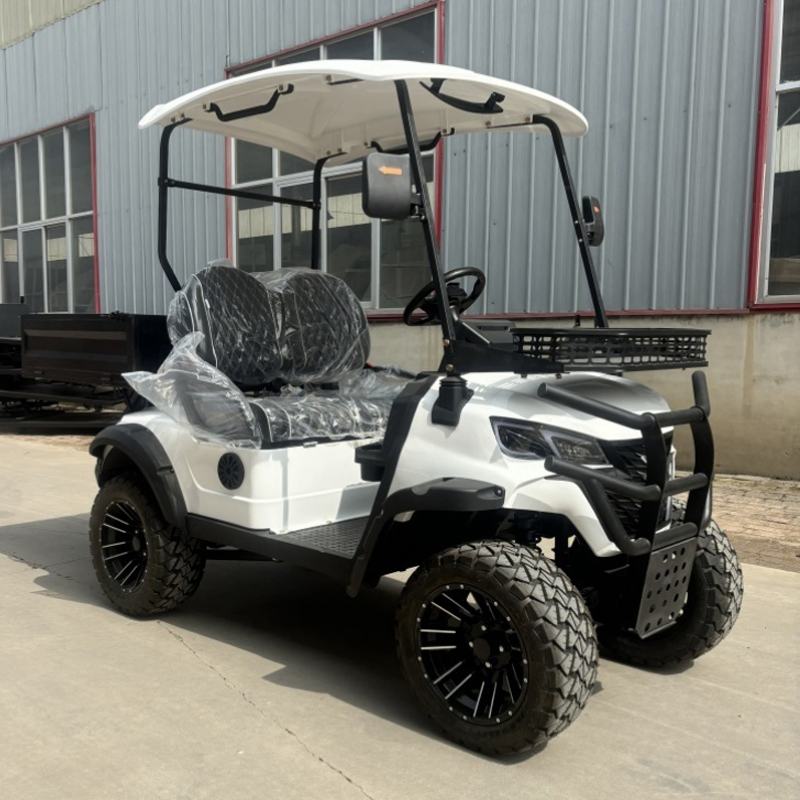 Wholesale Utility 4 Wheel Farm Vehicle White 2 Seater Electric Golf Hunting Cart with Rear Cargo Box
