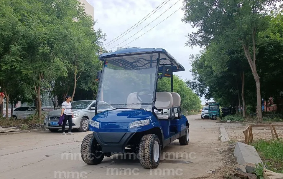 Golf Cart Photo 1