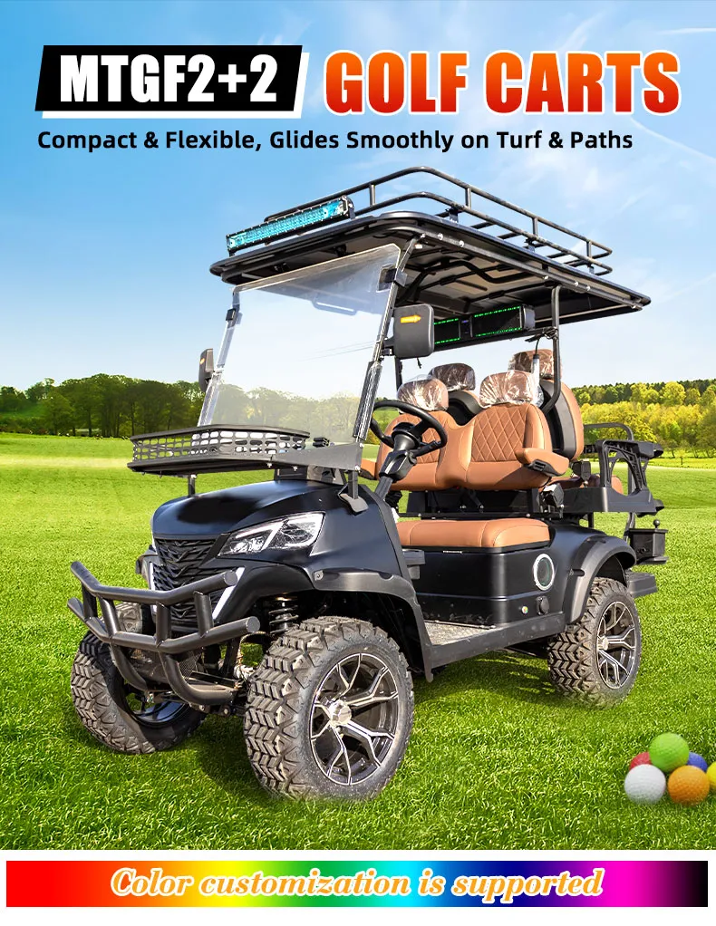 Electric Golf Cart View 1