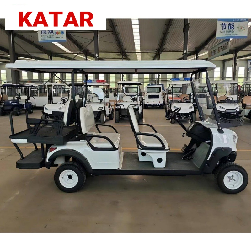 Custom Confortable 2 Seats 48V Electric Luxury Golf Cart Wholesale 4 Seater Electric
