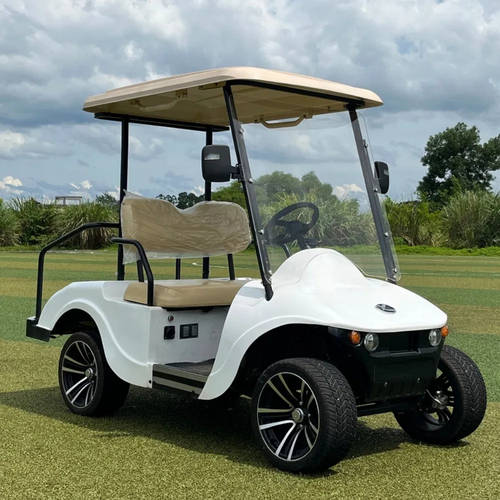 Electric Golf Cart View 5