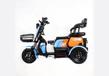 Electric Tricycle Details