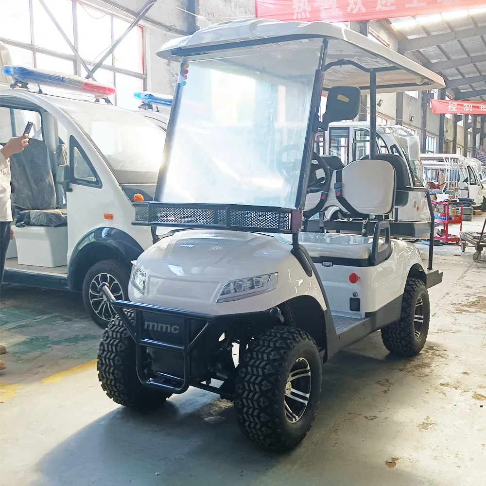 OEM/ODM 48V/60V/72V 2 4 6 8 Seater Electric Golf Car Lead Acid/Lithium Battery/Solar Panels Golf Carts