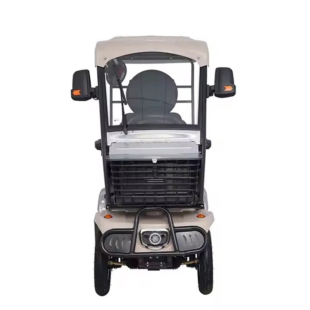Hld 800W Electric Rickshaw Mobility Vehicle for Senior with Canopy