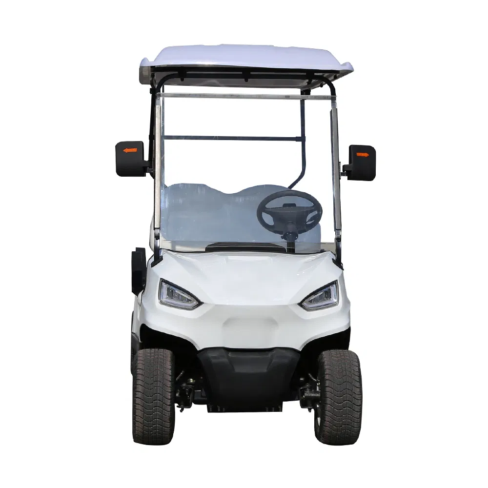 Mini Luxury CE-Certified Lithium Battery electric Car Custom Golf Cart