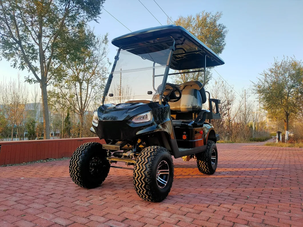 Electric Golf Cart View 5