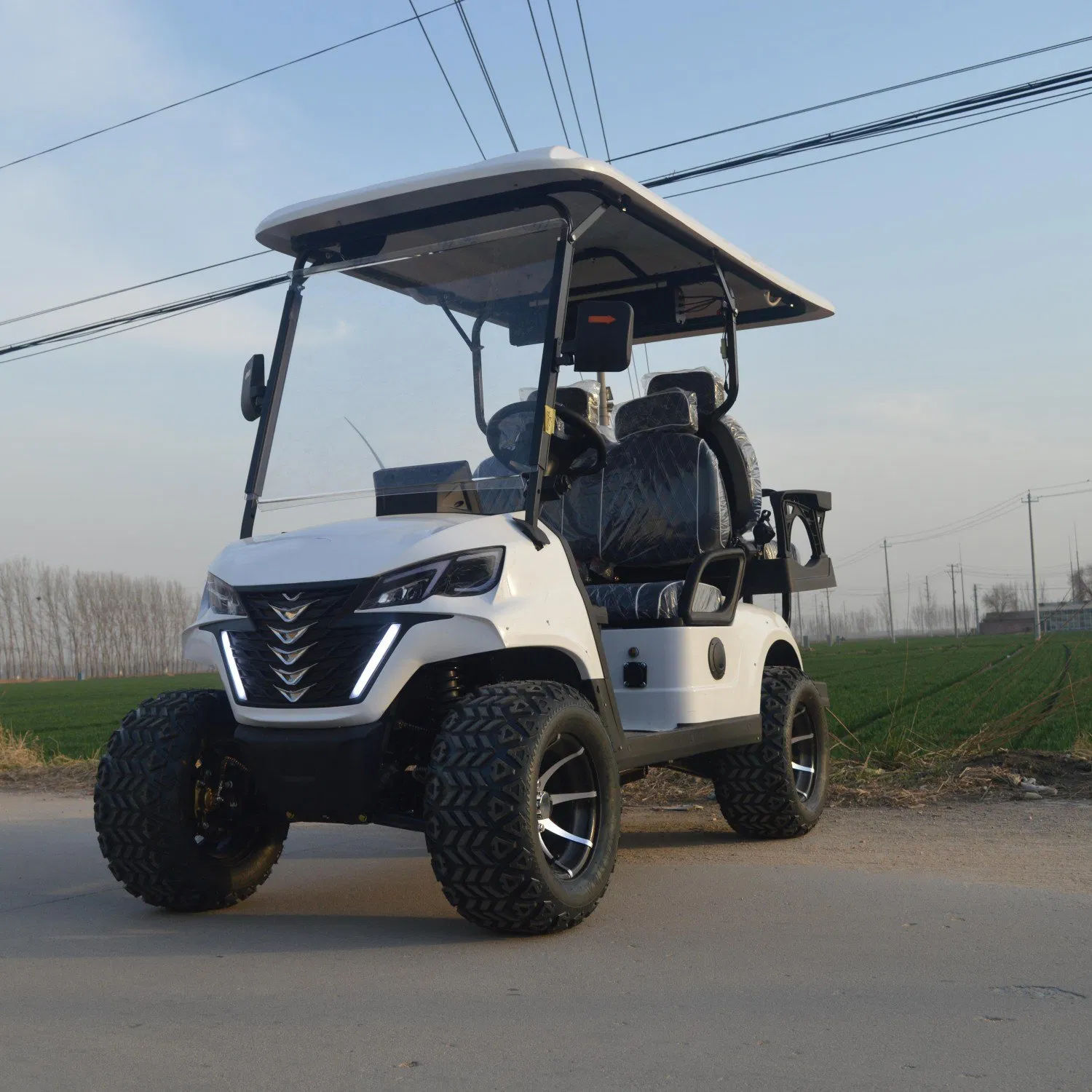 4 Passengers Electric Golf Cart Blue Color Club Car Golf Cart Airport Electric Shuttle Car