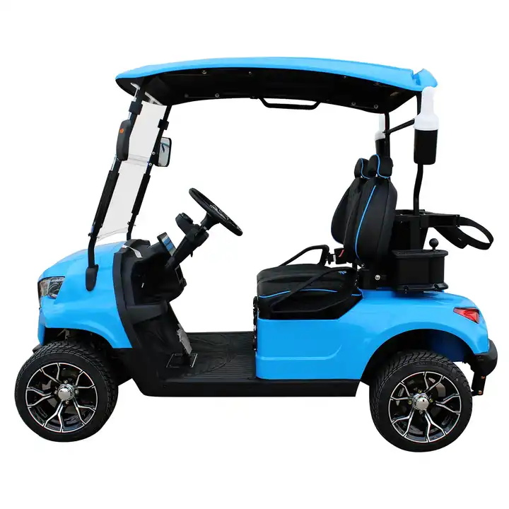 Custom 4 Wheel 2 Seat Electric Golf Kart Luxury Golf Buggy Car Electric Mini Golf Cart with Lithium Batteries