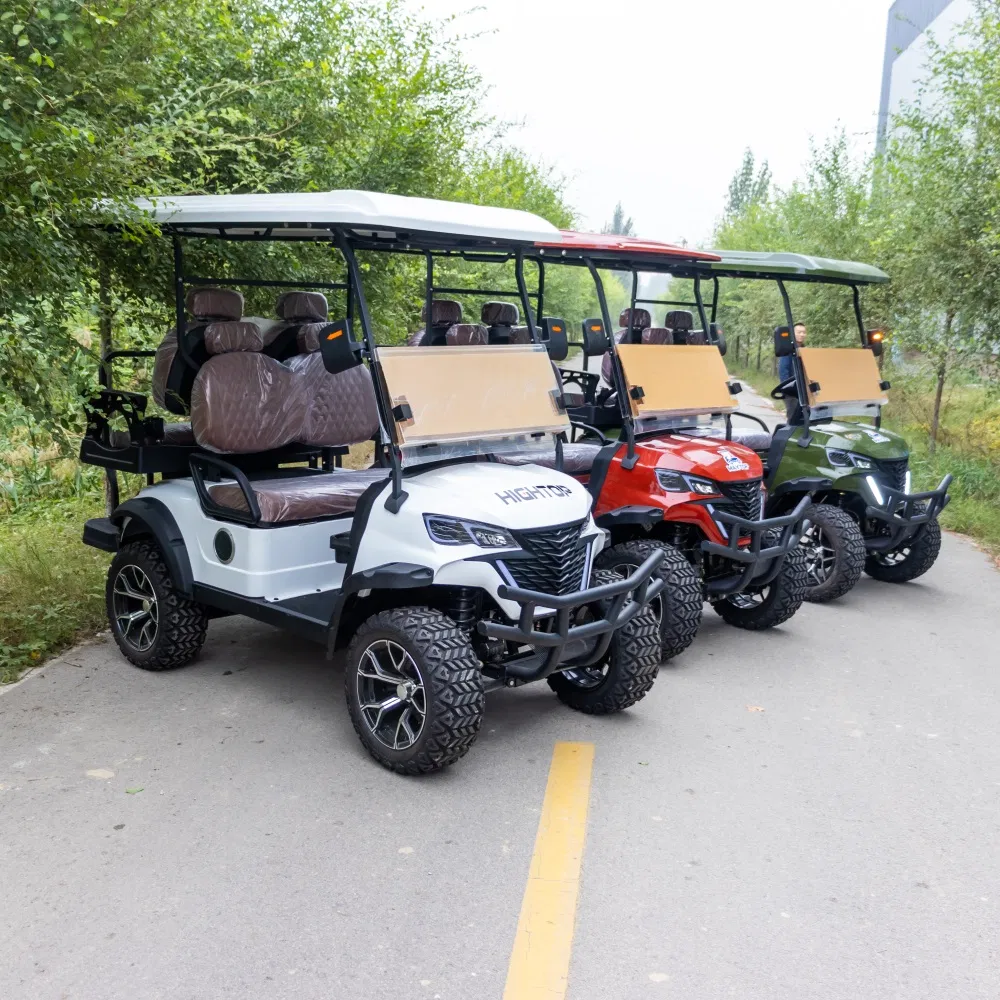 Electric Golf Cart View 7